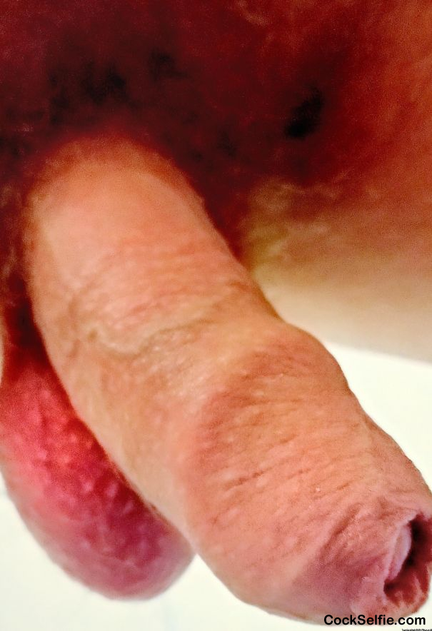 Vote or comment - Cock Selfie