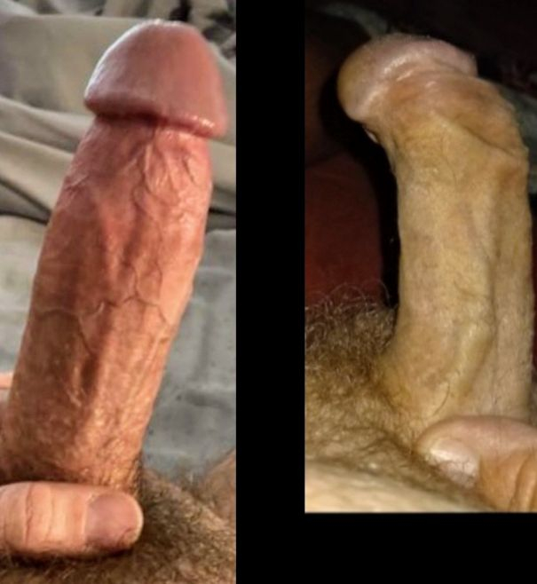 These cocks need to fuck - Cock Selfie