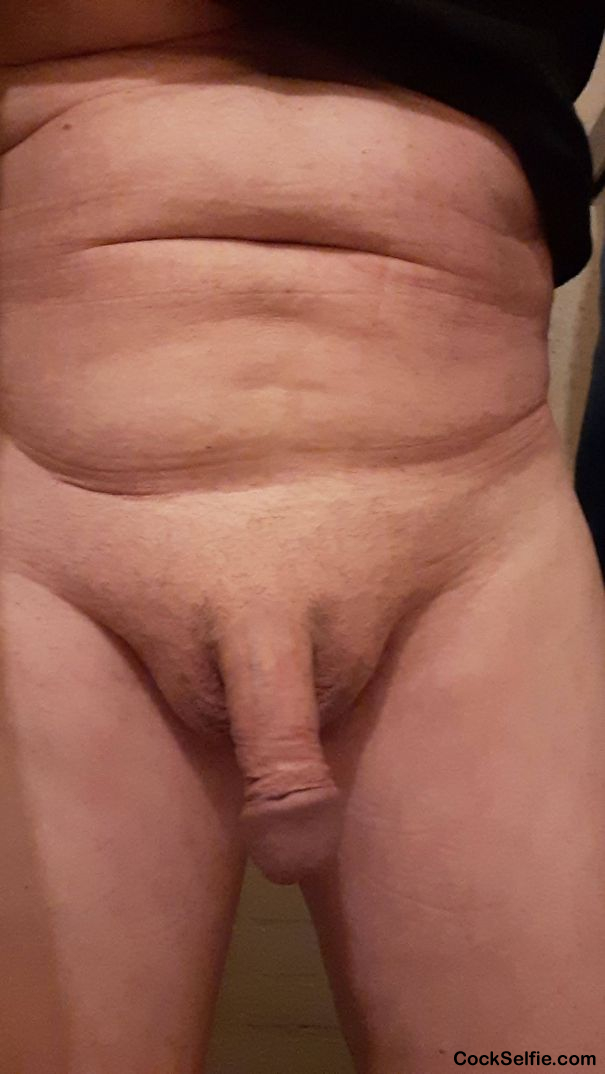 .my shaved cock - Cock Selfie