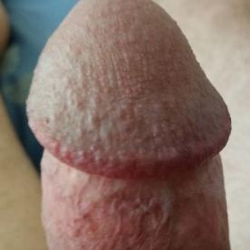 My Cock Head Wants to Rub On A Clit........ - Cock Selfie