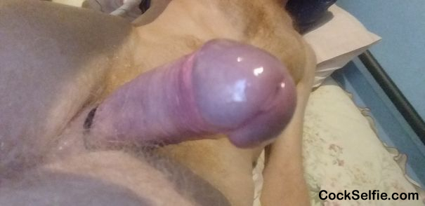 Comments Welcome - Cock Selfie