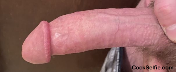 What Would you do with my dick? - Cock Selfie