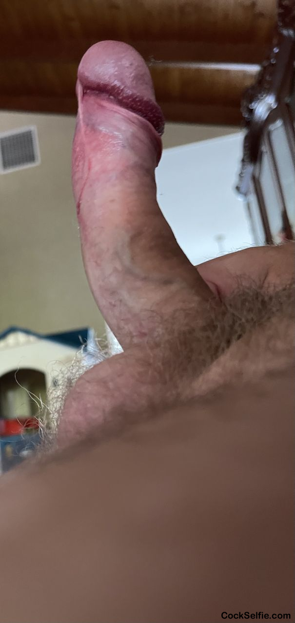 Couple more tugs and he will be fully awake. - Cock Selfie