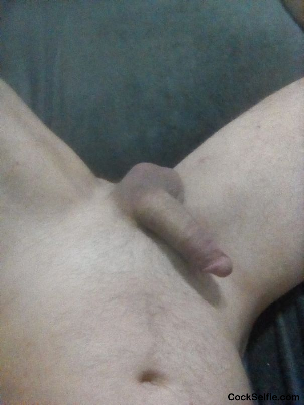 Who want to suck my cock - Cock Selfie