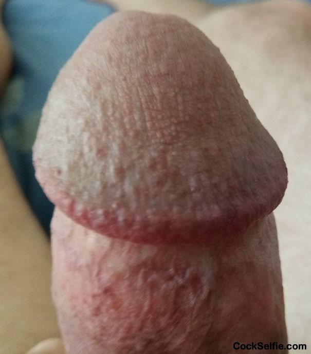 My Cock Head Wants to Rub On A Clit........ - Cock Selfie