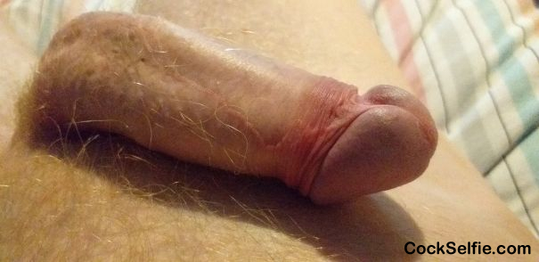 Comments Welcome - Cock Selfie