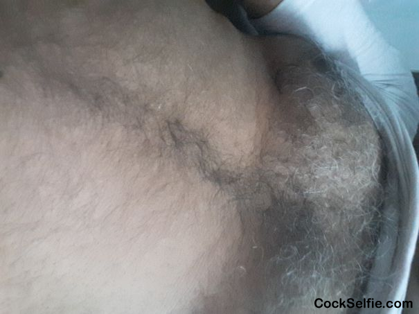 hairy chest - Cock Selfie