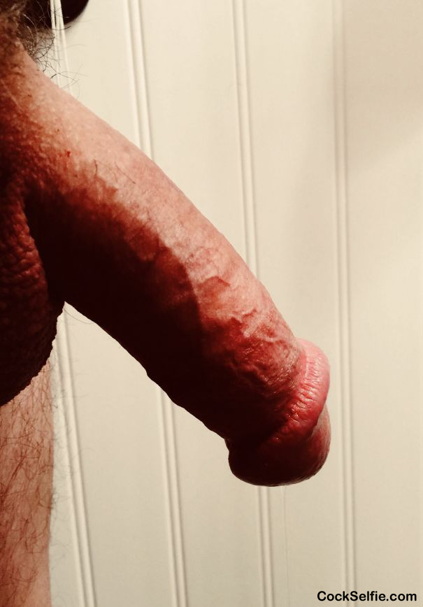 Suck me - Cock Selfie