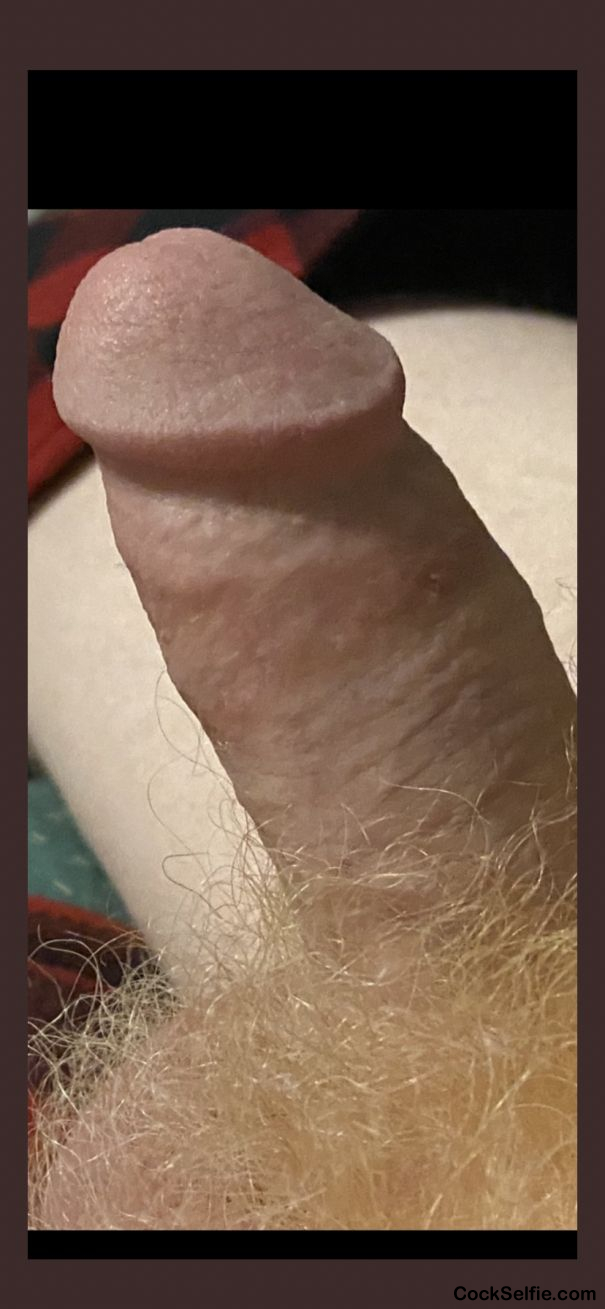 Left leaning and ready! - Cock Selfie