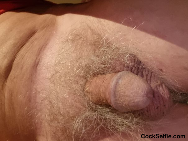 Please be explicitly truthful. - Cock Selfie