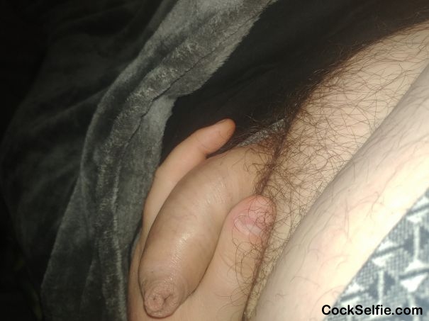 Who wants this to get hard - Cock Selfie