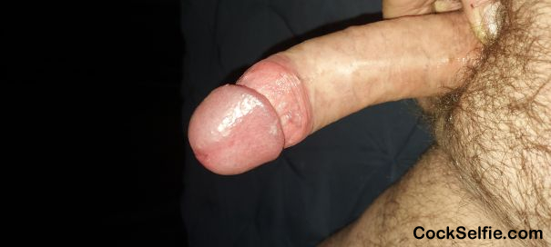 Who loves my cock - Cock Selfie