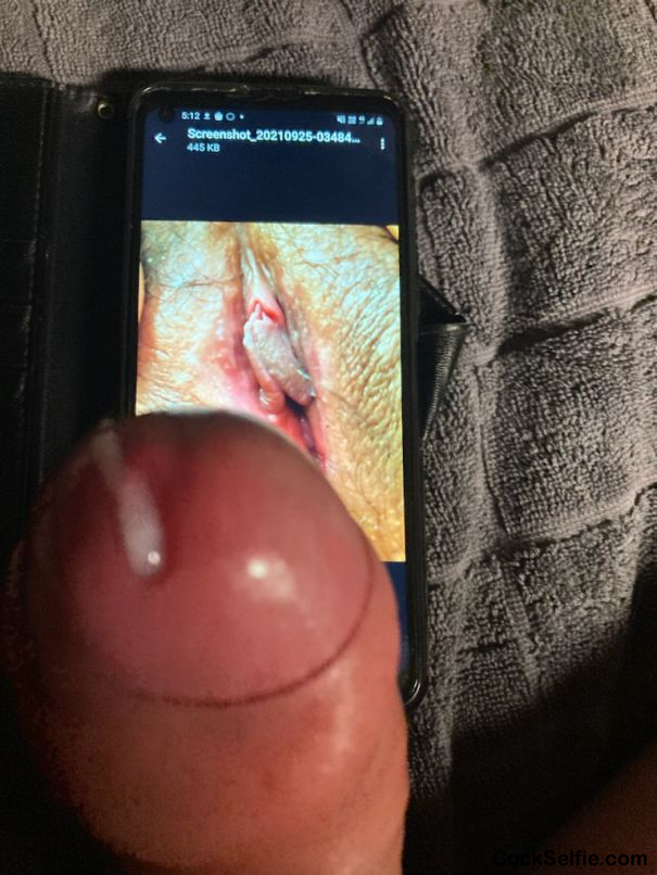 Love to cum on a nice pussy - Cock Selfie