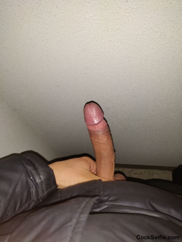 Do you want to suck my cock - Cock Selfie