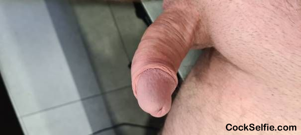Jacking off to cocks - Cock Selfie