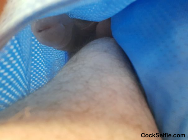 Cock In shorts no underwear - Cock Selfie
