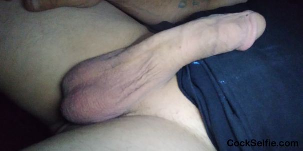 Would you suck my big cock - Cock Selfie