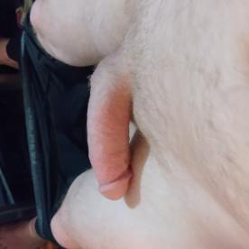 sexy ass body - Cock Selfie