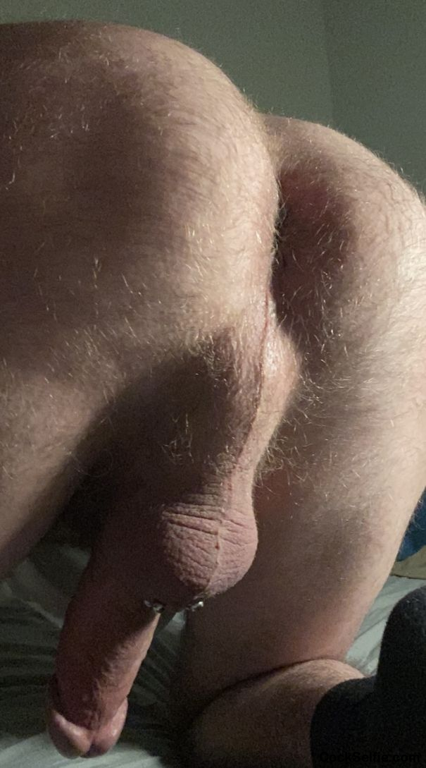 Fuck my tight hairy ass - Cock Selfie
