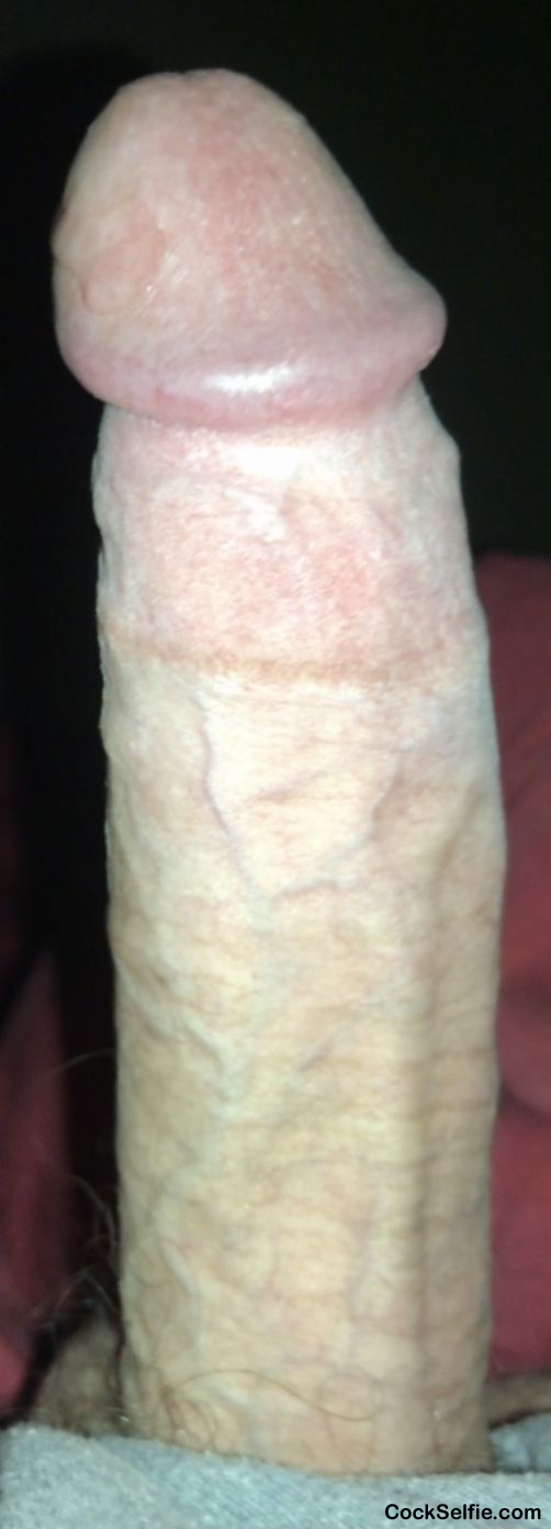 Just my cock  With a little precum - Cock Selfie