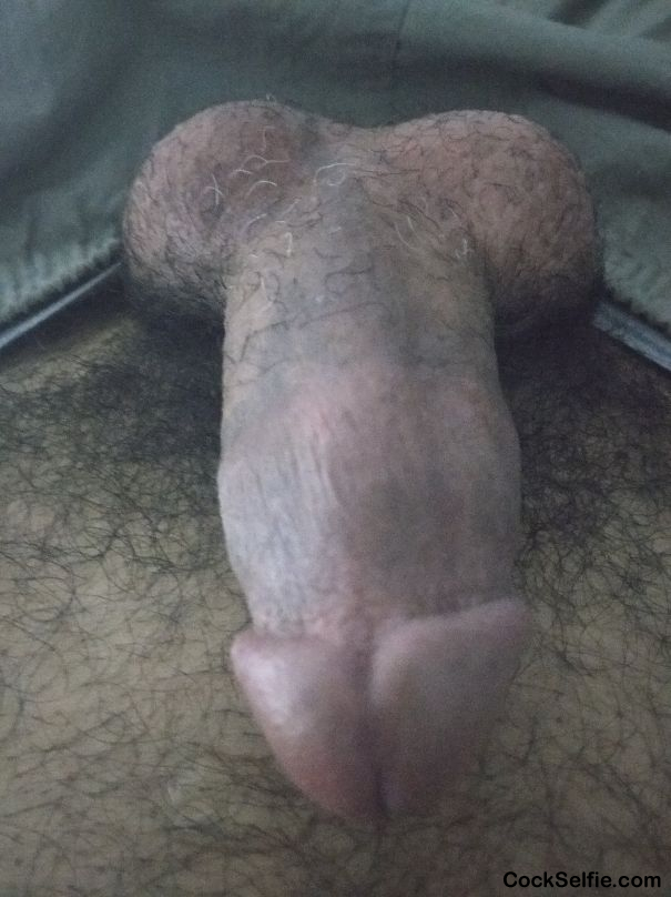 Hairy dick - Cock Selfie