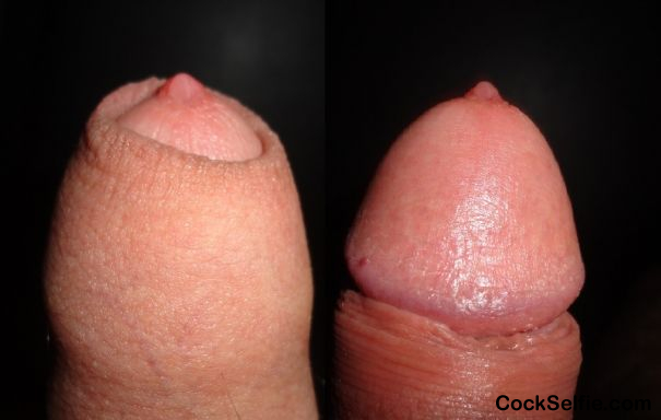 Covered,Uncovered. which do you prefer ? - Cock Selfie