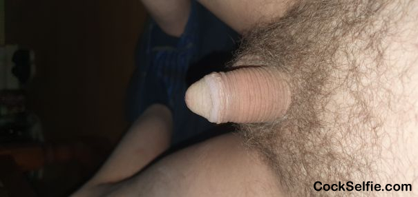 Who can excite me - Cock Selfie