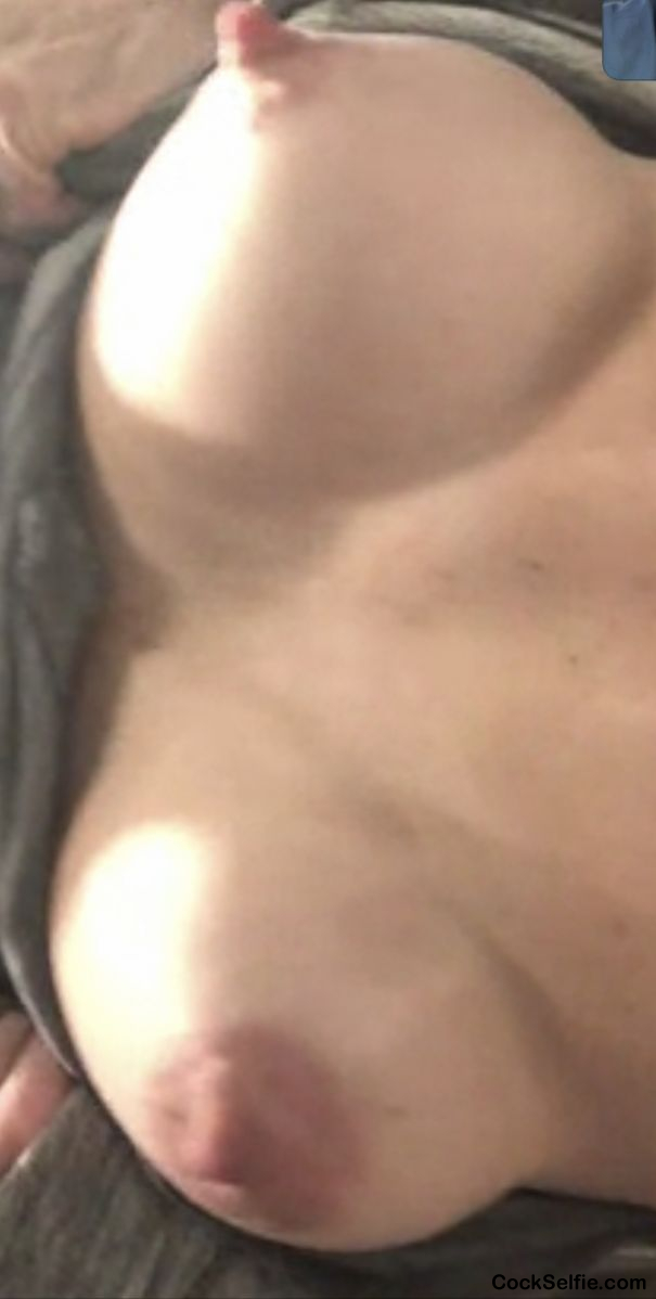 My eifes gorgeous tits - Cock Selfie