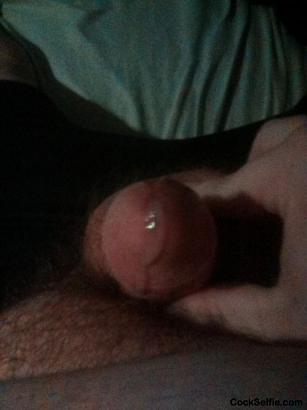 Who wants to be my first? - Cock Selfie