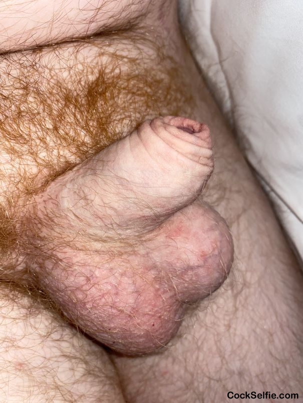 Just chilling - Cock Selfie