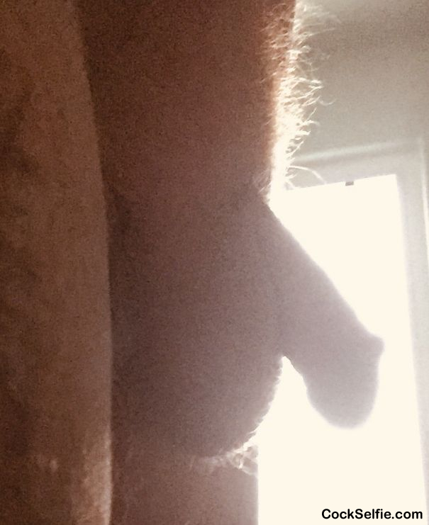 Silhouette - Cock Selfie