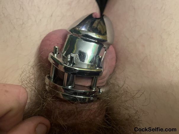 Trying some Semi Permanent chastity, a riveted shut cage. Its feels so good to be locked really good. - Cock Selfie