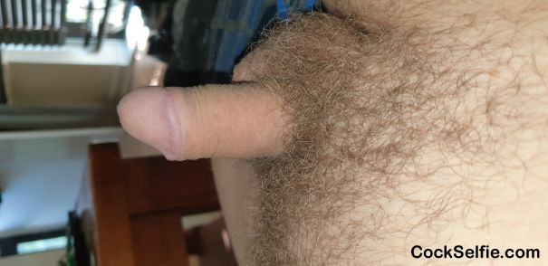 Standing all by itself - Cock Selfie