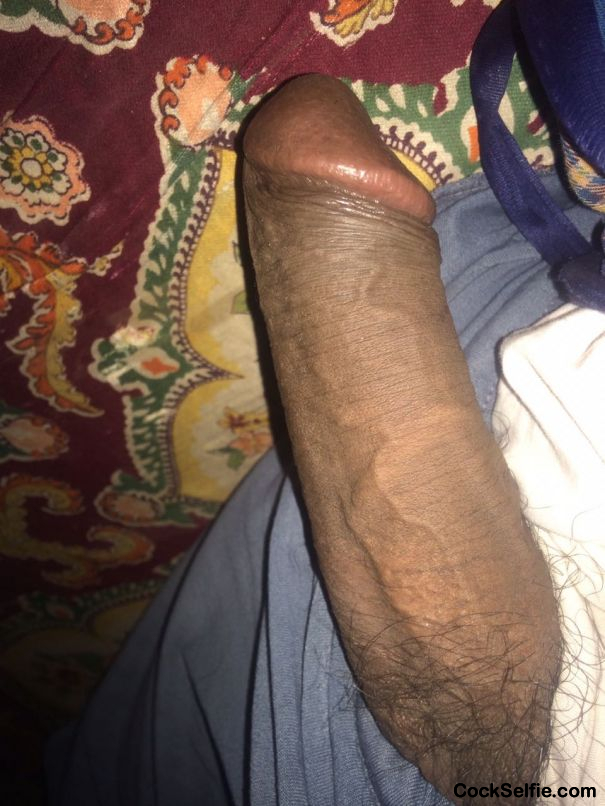 How is my Dick tear your hole around joint pleasantly - Cock Selfie