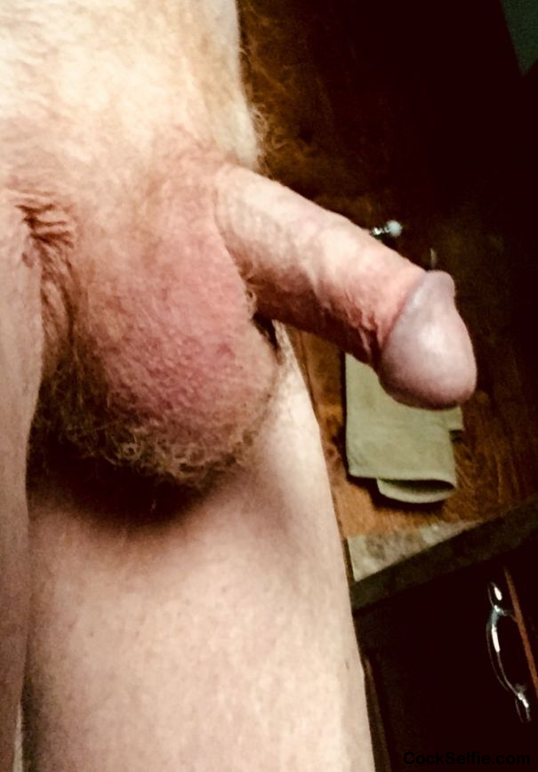 Morning after the day before - Cock Selfie