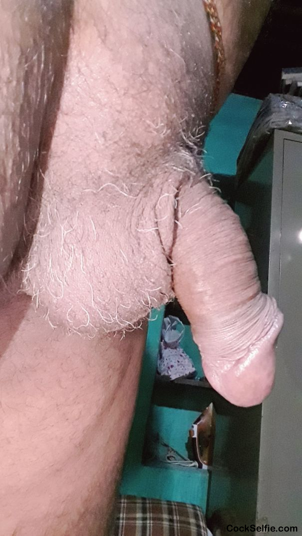 Hairy ball kiss my ball and suck this cock - Cock Selfie