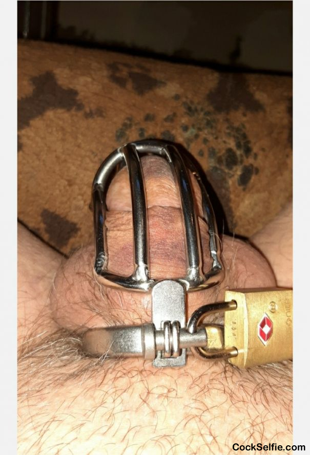 My Dick After My Wife Does CBT on Me.. - Cock Selfie