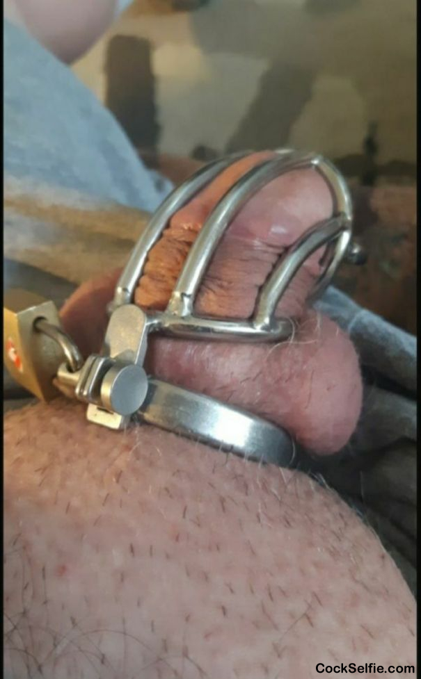 My Cuck Wife Keeps Me in a Chastity Cage - Cock Selfie