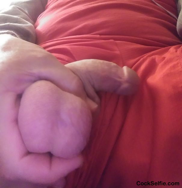 Squeezing my big balls - Cock Selfie