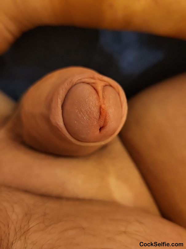 Just a quick cock photo - Cock Selfie