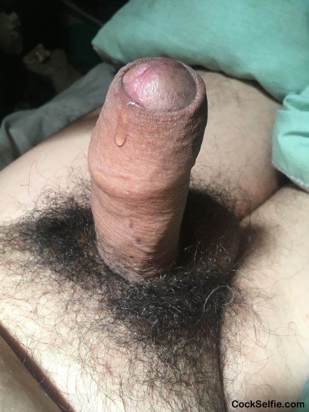 Precum anyone want to lick? - Cock Selfie