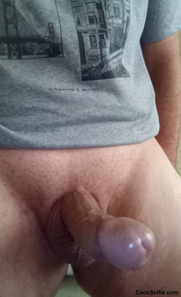 Searching for a hole - Cock Selfie