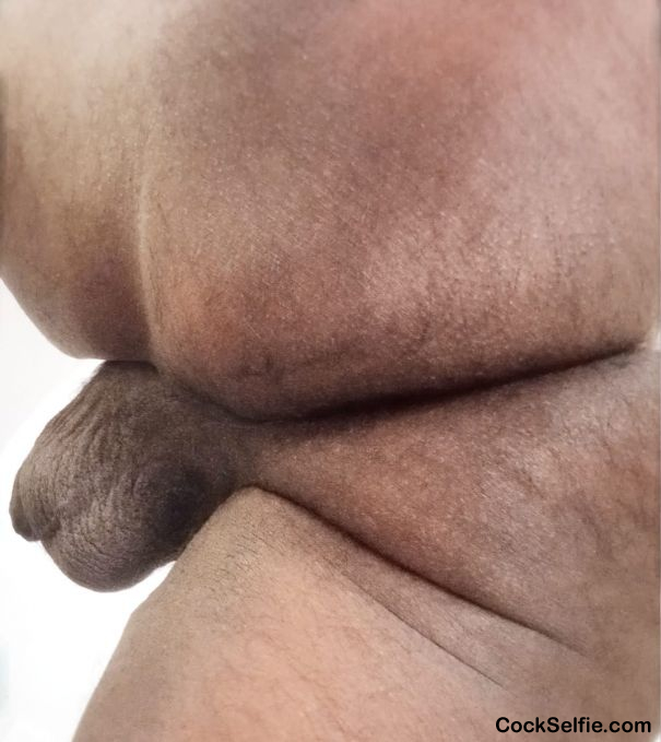 Ass dick ball - Cock Selfie