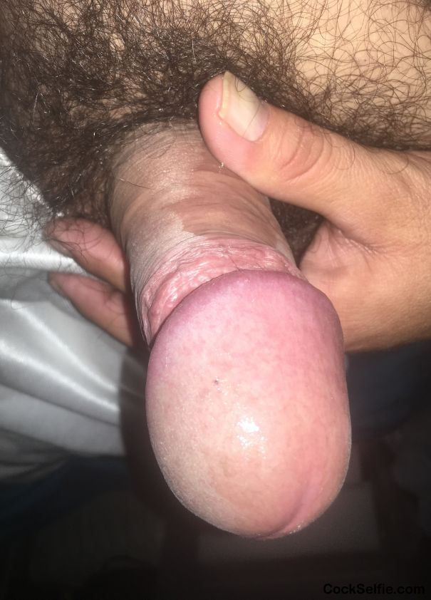 43 year old cock fully erect - Cock Selfie