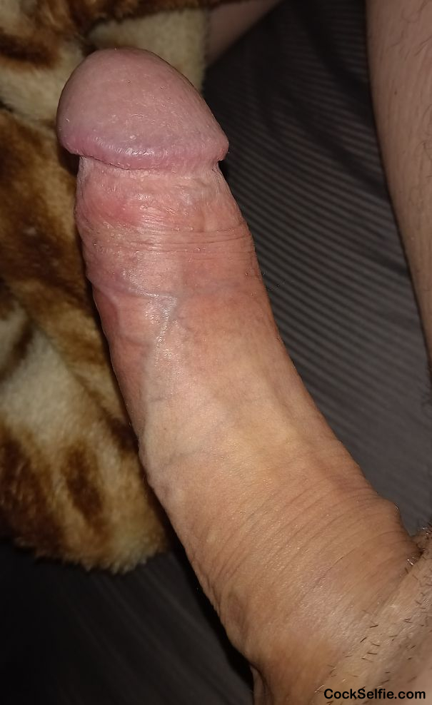 My 60 year old hard cock - Cock Selfie