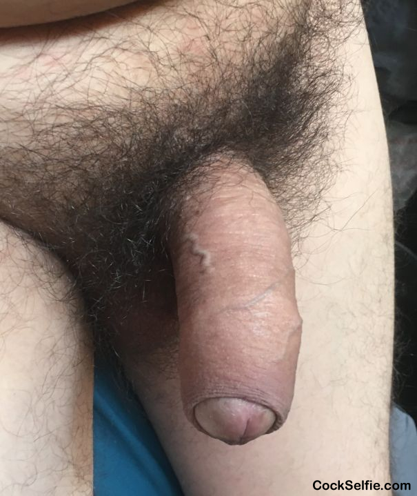 Any comments on my fat hairy cock? - Cock Selfie