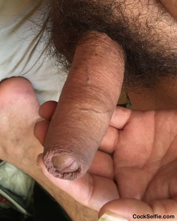 Daddys uncircumcised penis. - Cock Selfie