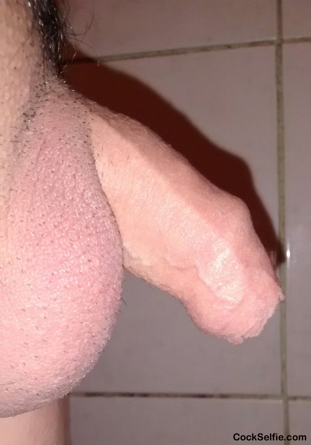 My soft dick - Cock Selfie