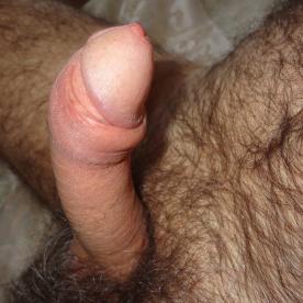 erect and hairy - Cock Selfie