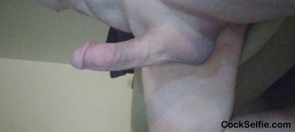 Do I have a nice cock - Cock Selfie